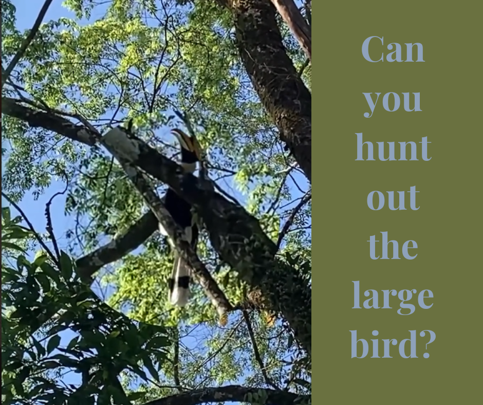 The Scavenger Hunt