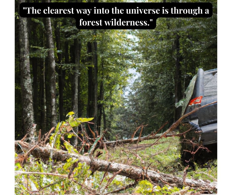 Forest Rules