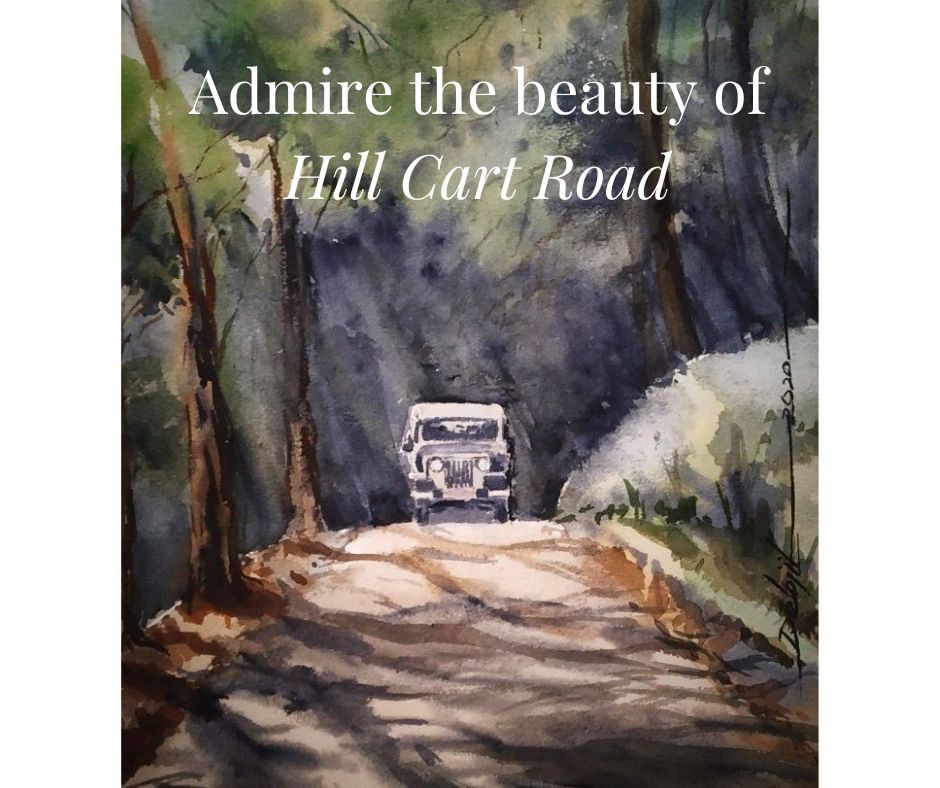 Tourist Attractions on the Hill Cart Road from Sukna to Selim Hill Tea Estate