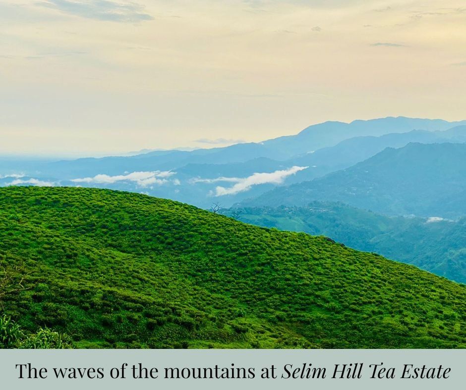 Dive Deep and Climb High