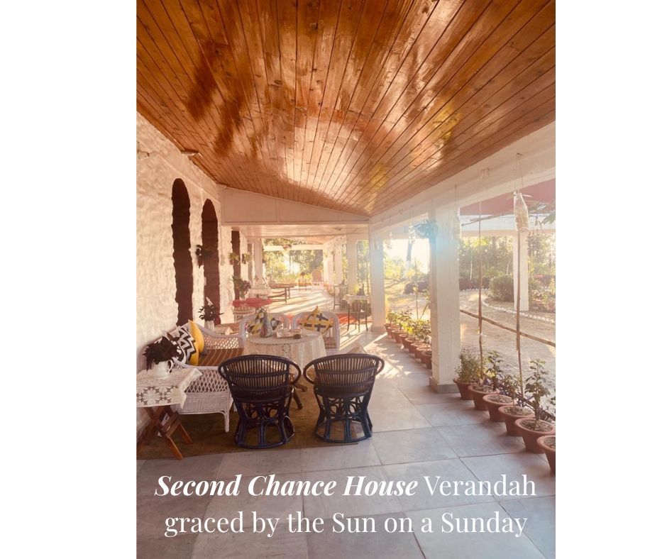 A Sun Dappled Sunday at Selim Hill