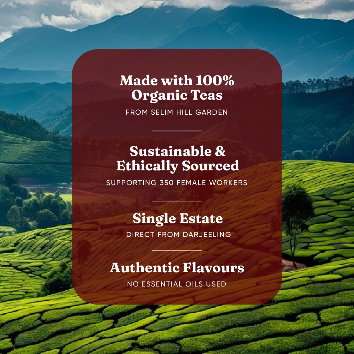 Autumn Flush – Darjeeling Tea