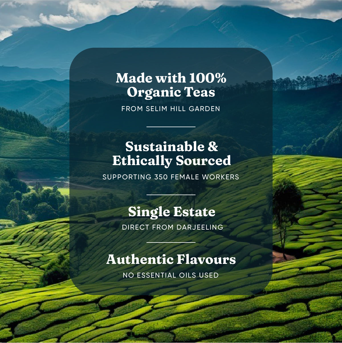 Gondhoraj Lemon Honey Tea