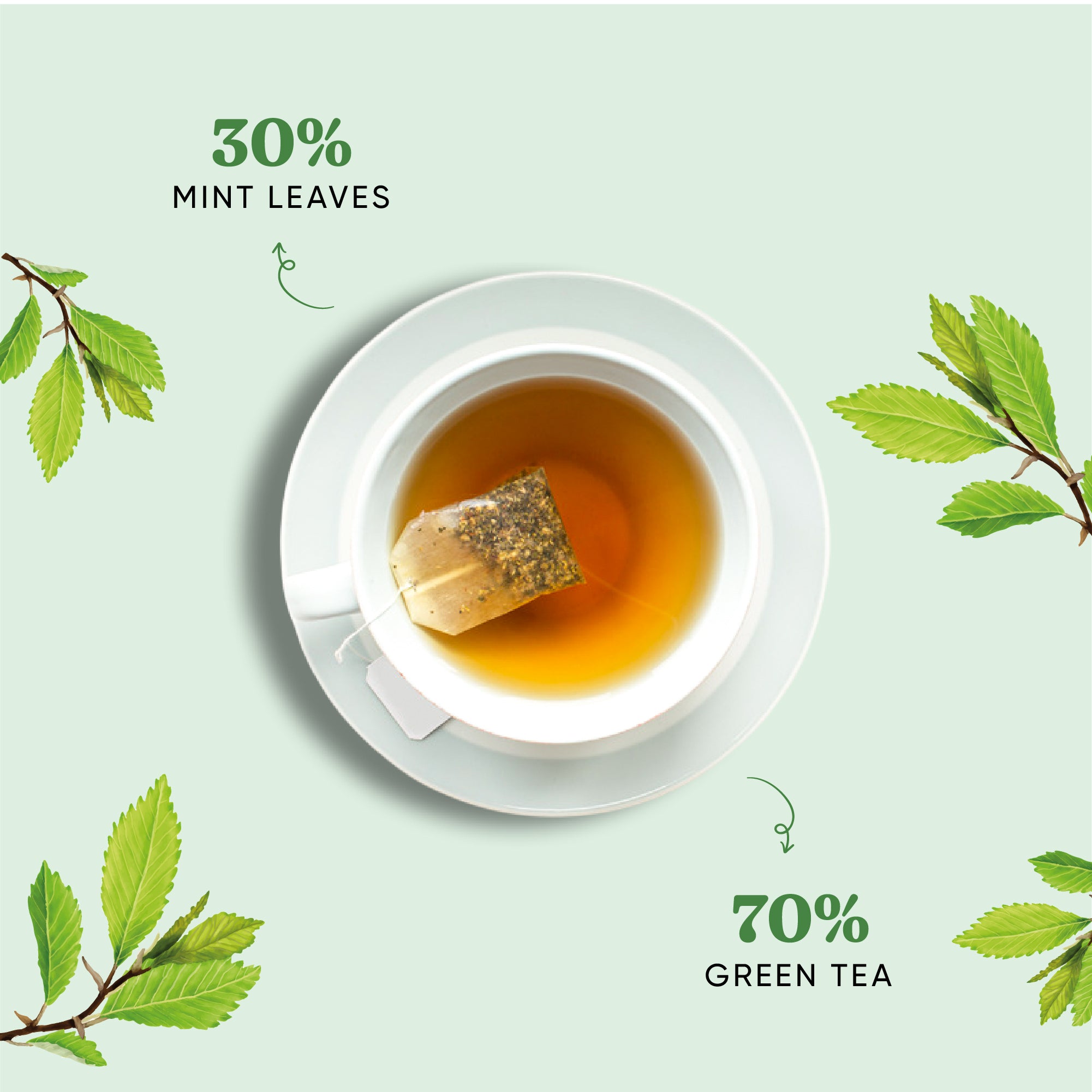 Mint Tea Pyramid Teabags