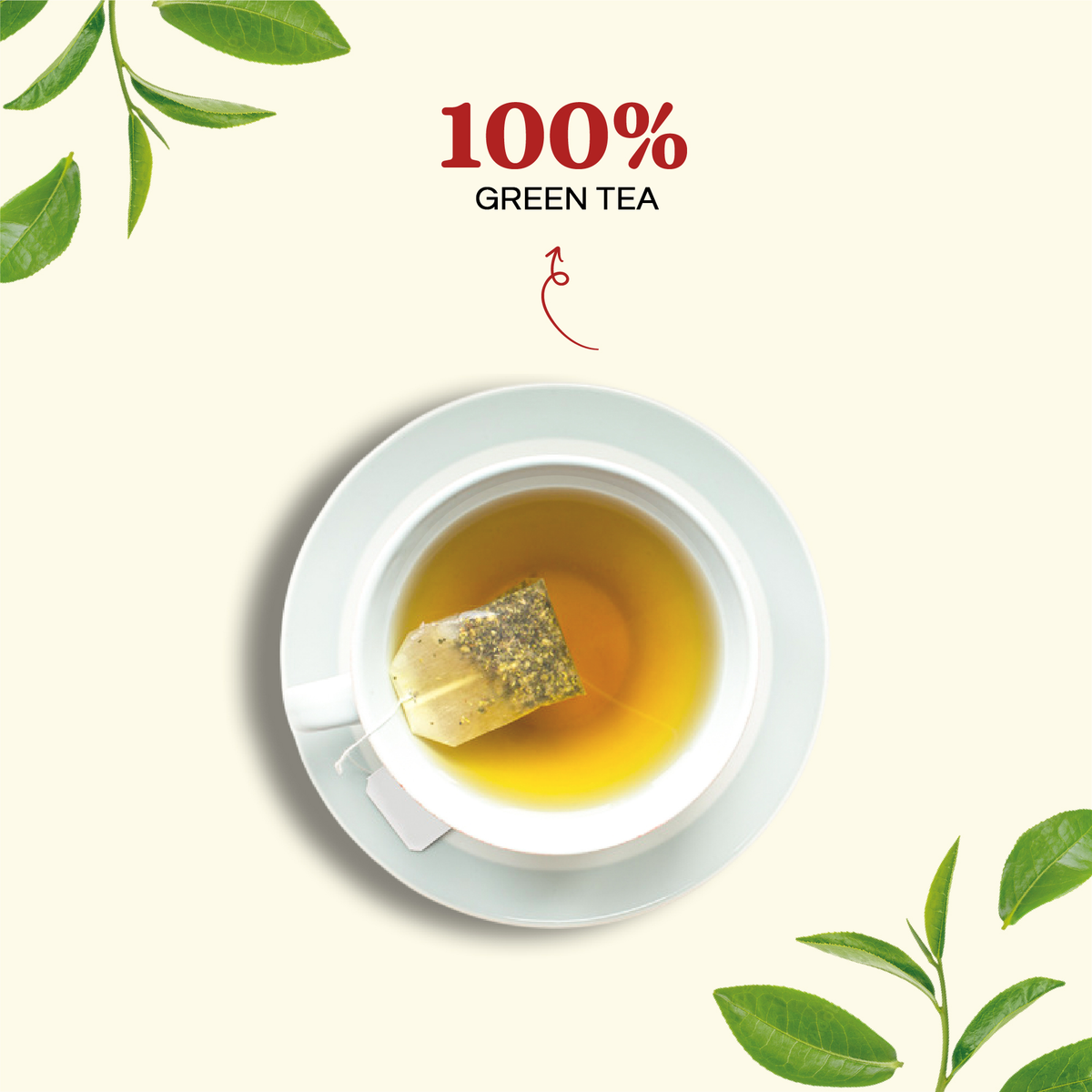 Green Tea Monsoon Flush Pyramid Teabags - 30 Teabags