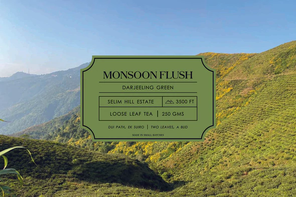 Why should I buy the Dorje Monsoon Flush Green Tea Subscription?