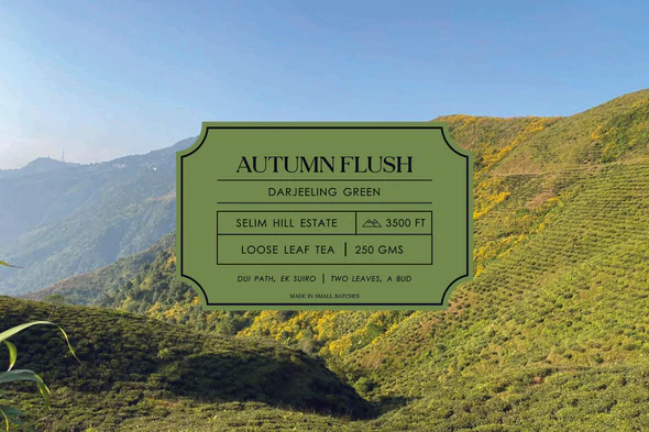 Why should I buy the Dorje Autumn Flush Green Tea Subscription?