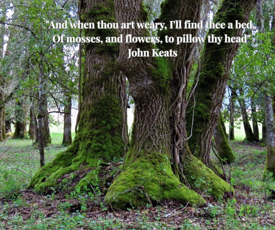 Careful and Precious Whispers