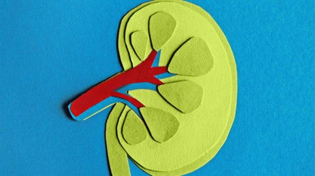 Kidney Health and Tea