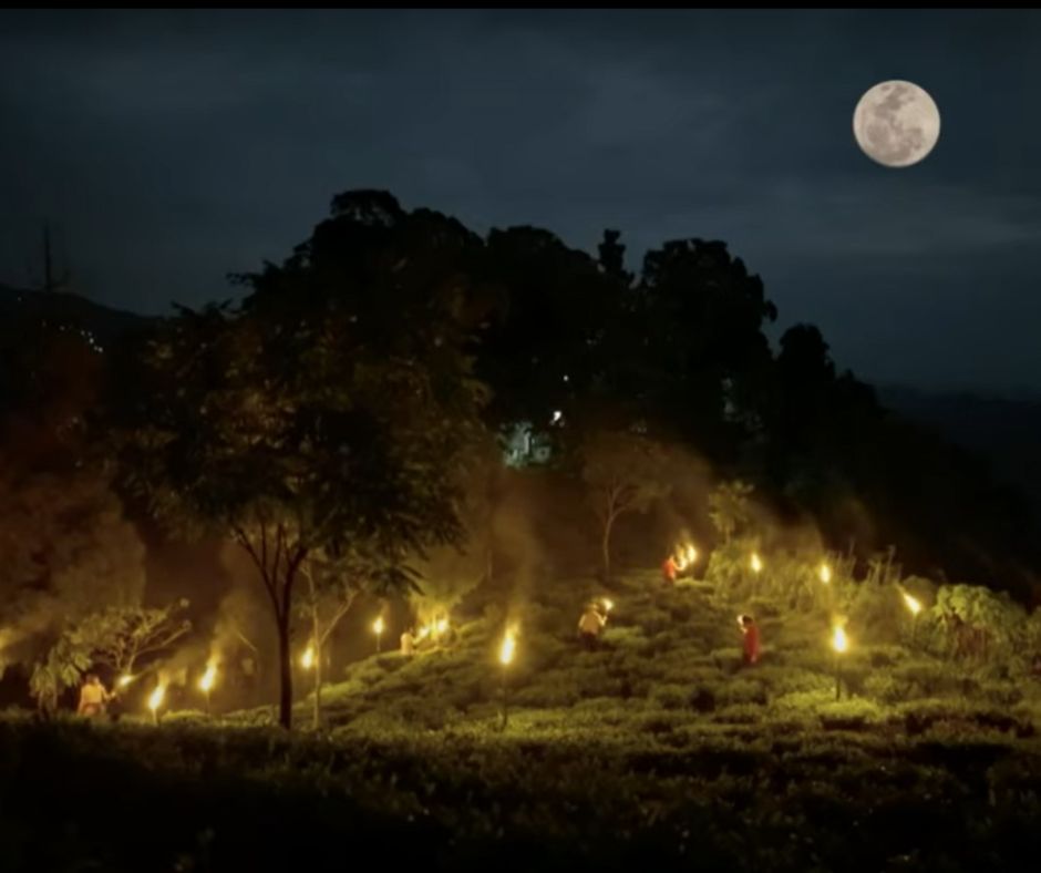 Misty Taste of Moonshine