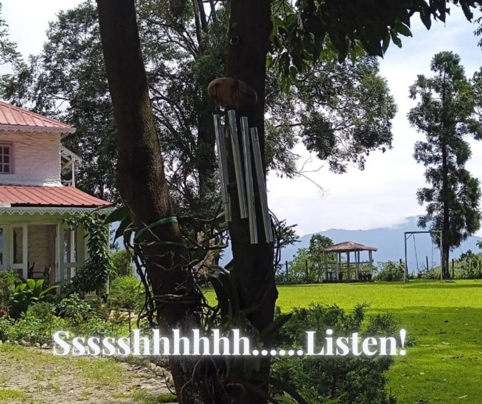 What is common between wind chimes, swings and leaves?