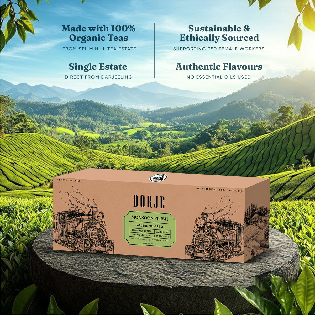 Green Tea Monsoon Flush Pyramid Teabags - 30 Teabags
