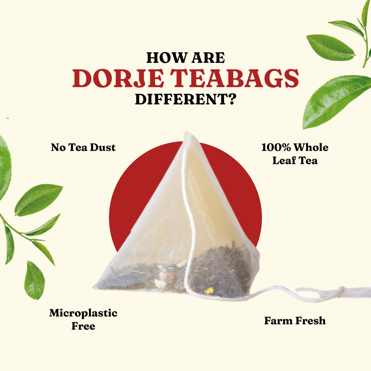 Green Tea Monsoon Flush Pyramid Teabags - 30 Teabags