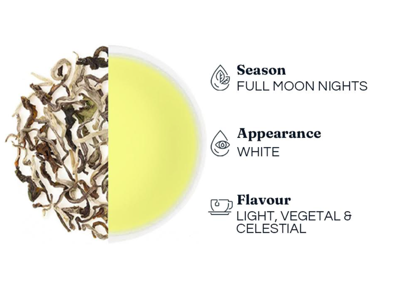 Moonlight White Tea - Limited Edition