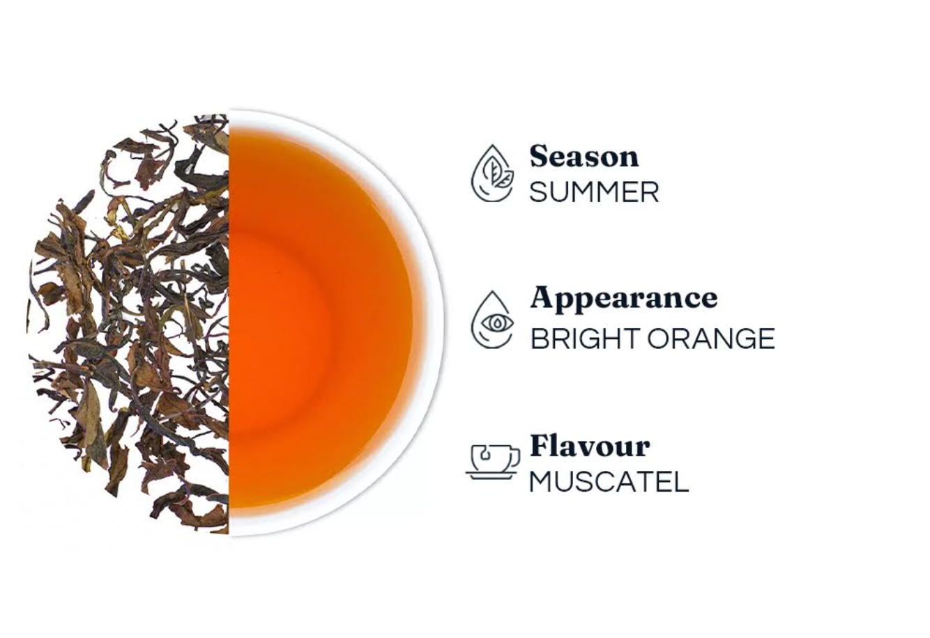 Second Flush – Darjeeling Tea