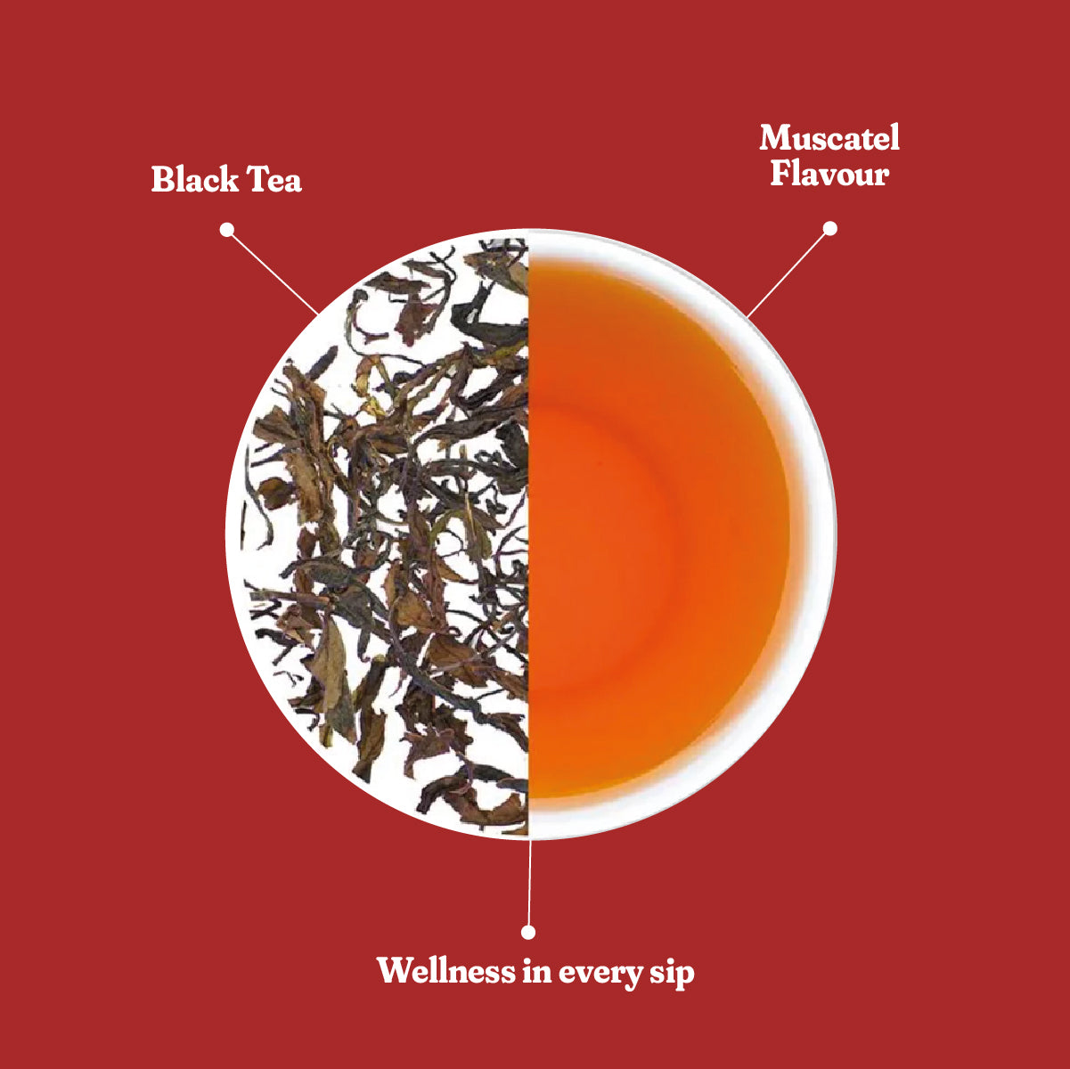 Second Flush – Darjeeling Tea