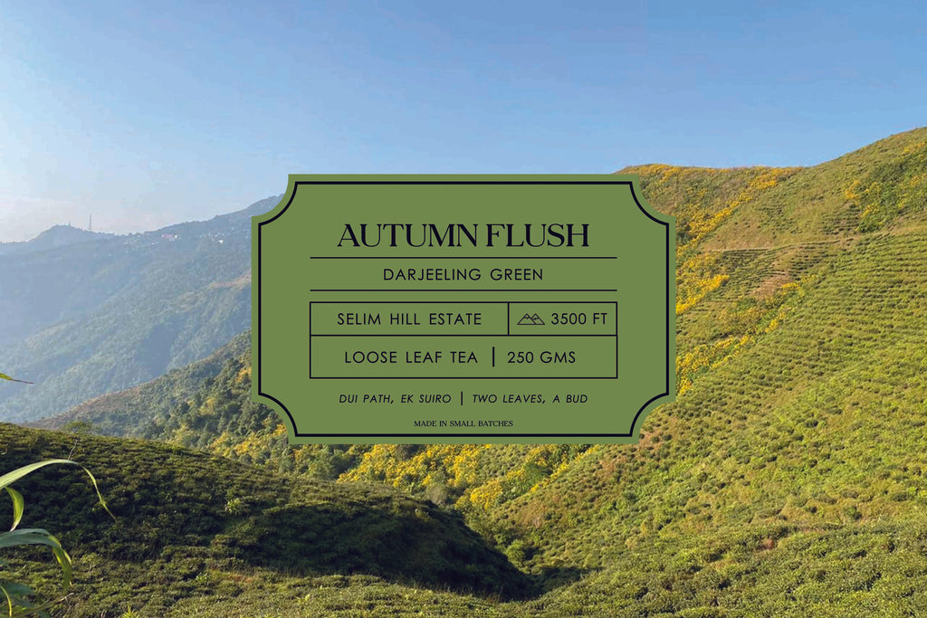 A label of Dorje Autumn Flush Green Tea on a background of tea bushes